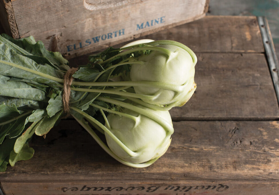 03752g_01_korist_Chou_Rave