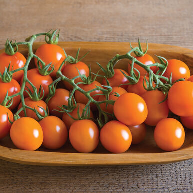 tomatoes_clementine